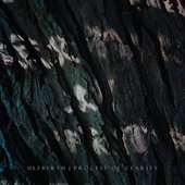 Process of Clarity