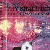 Non-Human Realm