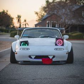 xlwrinaki 的头像