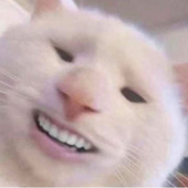 FloppyDiskBoi 的头像