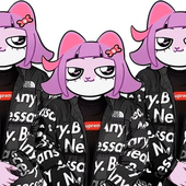 solidbear 的头像