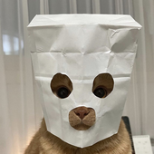 coolmike9 さんのアバター