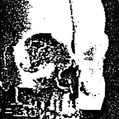 voidrotcult 的头像