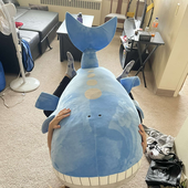 Jelliefish11 的头像
