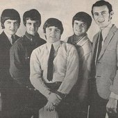 The Playboys (a.k.a. Australian Playboys)