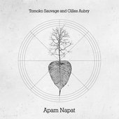 Apam Napat