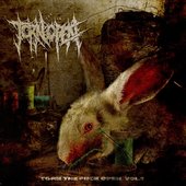 TORN THE FUCK OPEN, Vol. 1 - EP