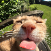 Avatar for Spicyboi27