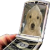 Avatar for Spigginggi