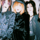 128233-velltige-group-photo.png