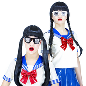 FEMM