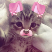 idkwhoiam33 的头像