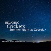 Relaxing Crickets Summer Night at Georgia