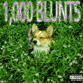 1000 BLUNTS