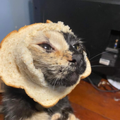 Avatar di JFKAssassinator