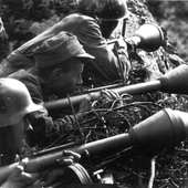 Awatar dla panzerfaust_