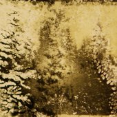 a selva, 1956
