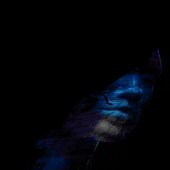 The Undiscovered Country