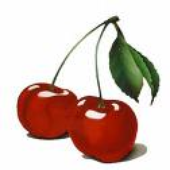 Avatar for Cherry-Sin