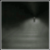 Avatar for Silent-Rage24