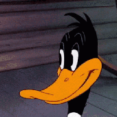 Looney Tunes Daffy Duck Moving Eyebrows.gif