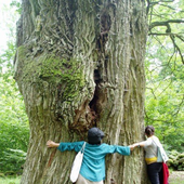 yobinoyo さんのアバター