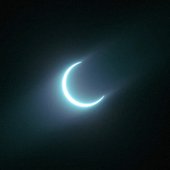 ab6761610000e5eb2e431057e7384bbfdf4d0e6c.jpg