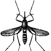 Awatar dla mythoman