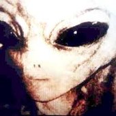 Unknown.jpeg