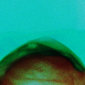 PNG_01.png