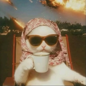 Avatar for gingeriot