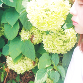 Avatar for sayuready