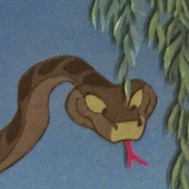 Snailier3773 的头像