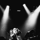 IMG_5137.jpeg