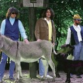Pet Summer