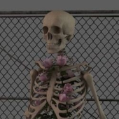 Avatar for samout69