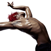 Straydogawake さんのアバター
