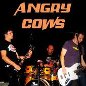 Angry Cows 2012
