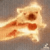 shaylastfm_ 的头像