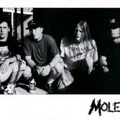 molest