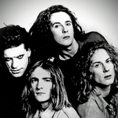 wonder stuff