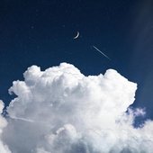 Fly Me to the Moon - Single