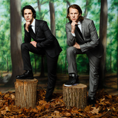 Ylvis