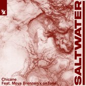 Saltwater (feat. Moya Brennan) [Giffgaff Sax Mix] - Single