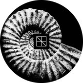 Morphogenesis