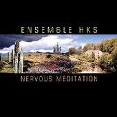 Nervous Meditation