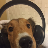 steeeeeeeeel 的头像