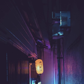 N0VR 的头像