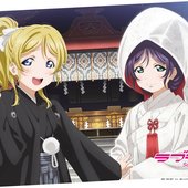 nozoeli.jpg