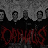 Orphalis